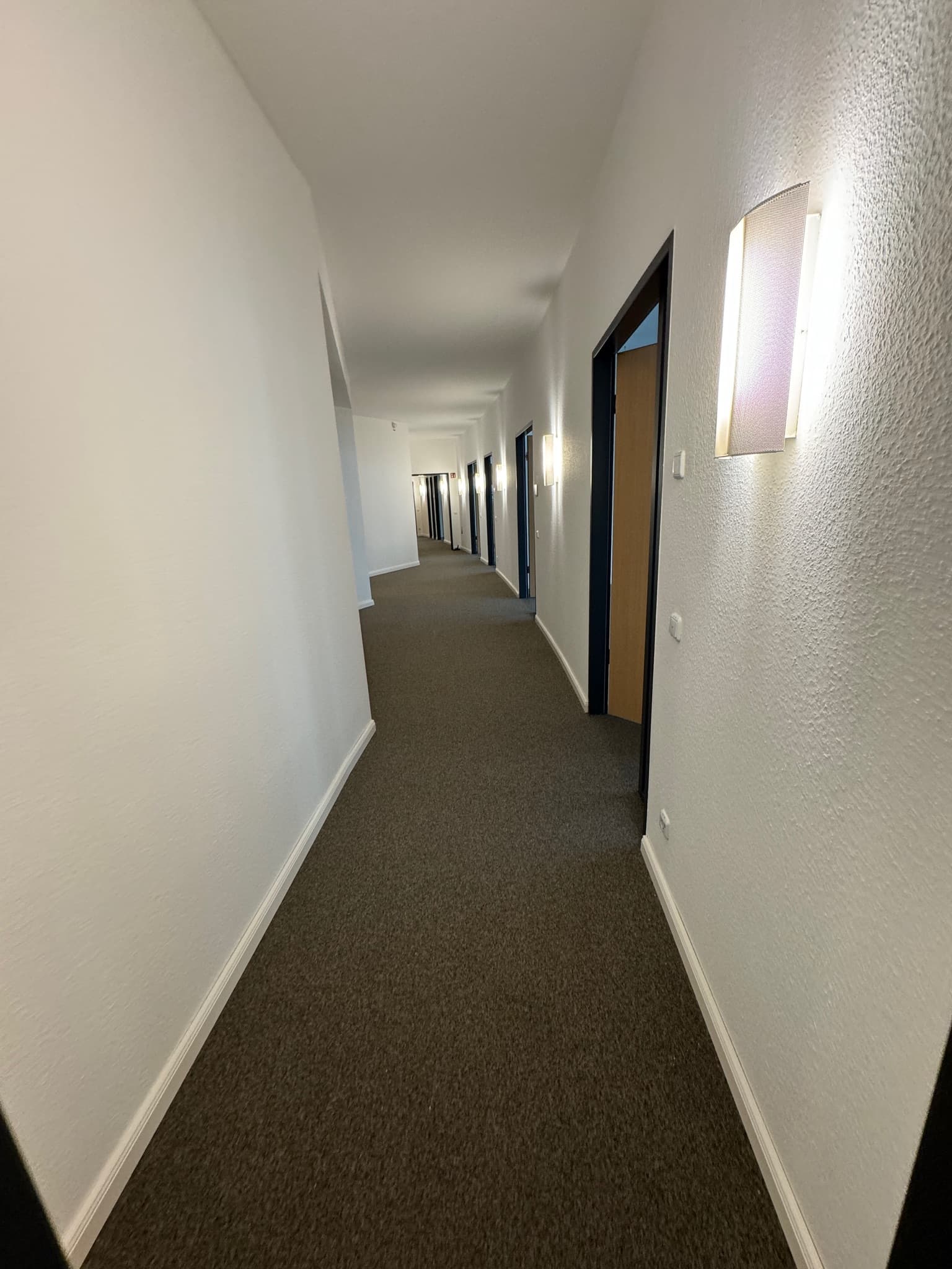 Teppichboden 3