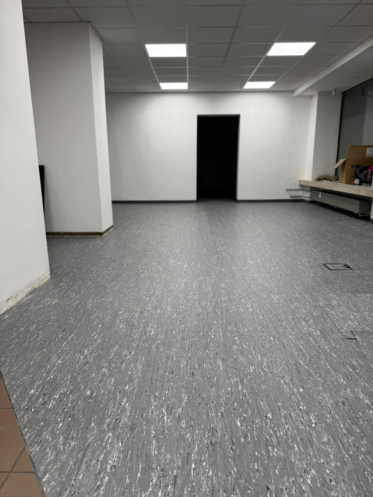 Linoleum 2