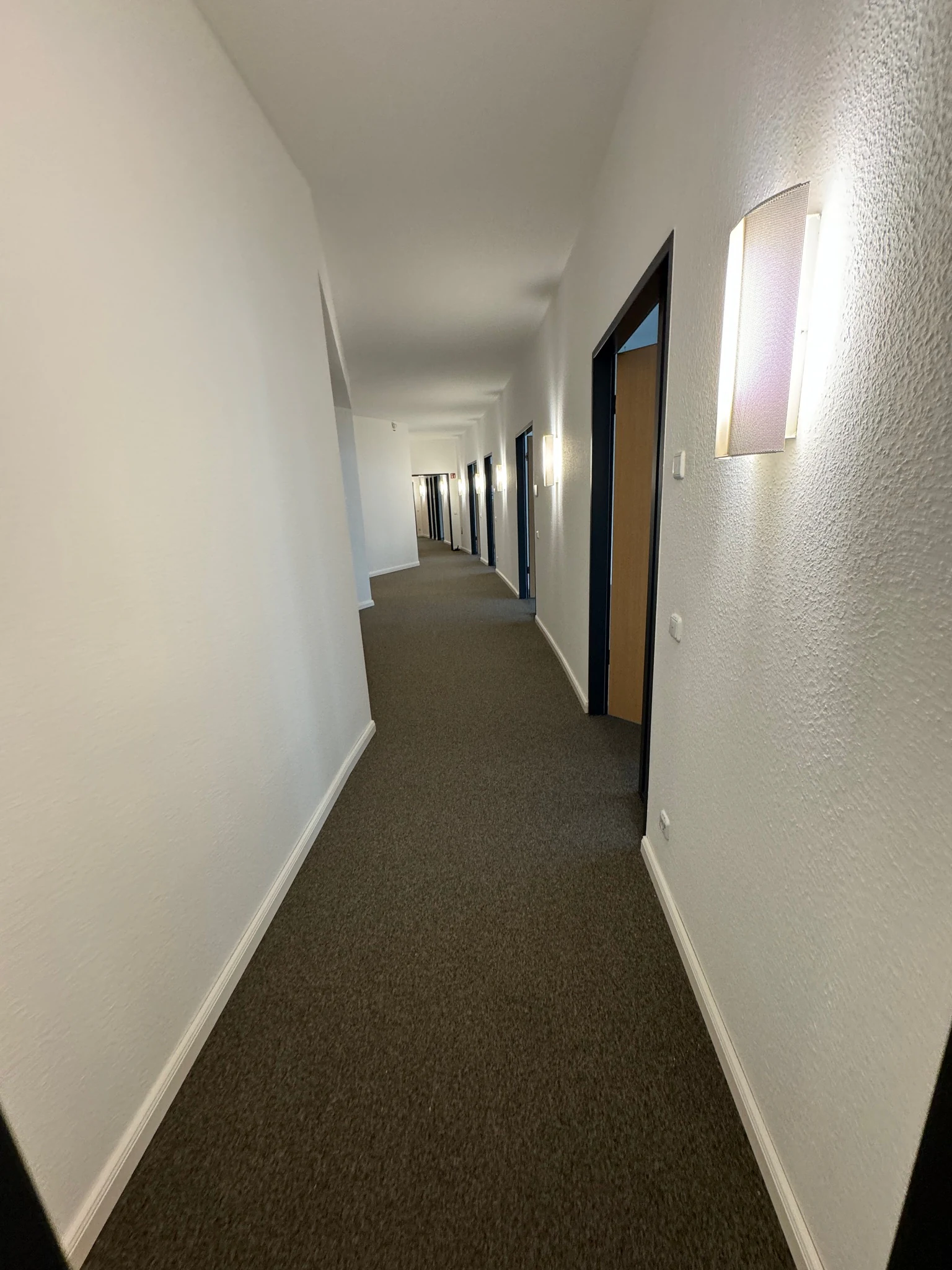 Teppichboden 3